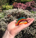 Teeny Glass Rainbow - The Weitzman Museum Store - 7 - 847384019567