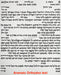 The Ahava Papercut Ketubah by Ardyn Halter - The Weitzman Museum Store - 