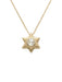 Tiny 14K Star with Diamond Necklace - The Weitzman Museum Store - K-629