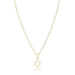 Tiny Gold Plated Star Necklace - The Weitzman Museum Store - mn-md-gold