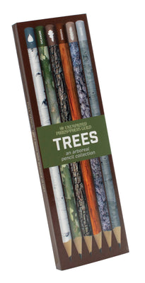 Tree Pencil Set - The Weitzman Museum Store - 5890