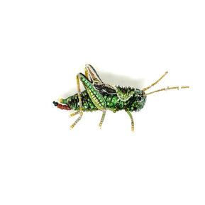 Two Striped Grasshopper Brooch Pin - The Weitzman Museum Store - TL-B-904