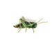 Two Striped Grasshopper Brooch Pin - The Weitzman Museum Store - TL-B-904