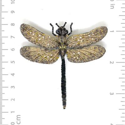 Vintage Glider Brooch Pin - The Weitzman Museum Store - TL-B-1046