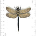 Vintage Glider Brooch Pin - The Weitzman Museum Store - TL-B-1046