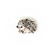 White Breasted Hedgehog Brooch Pin - The Weitzman Museum Store - 