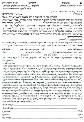 Hibiscus Ketubah by Stephanie Adler - The Weitzman Museum Store - 9 - 37