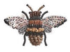 Honey Bee Brooch - The Weitzman Museum Store - 7 - 847384017505