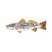 Spotted Trout Brooch - The Weitzman Museum Store - 7-847384018969